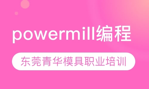powermill编程精英班
