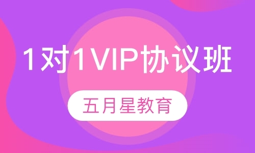 武汉1对1VIP协议班