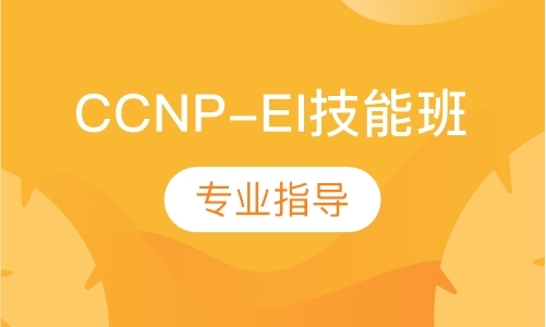 CCNP-EI技能班