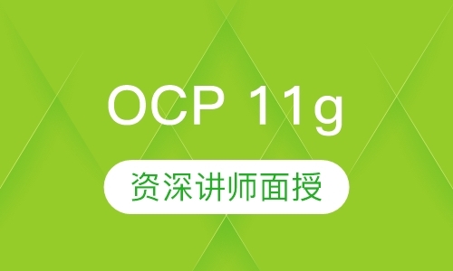 OCP 11g 甲骨文认证专家