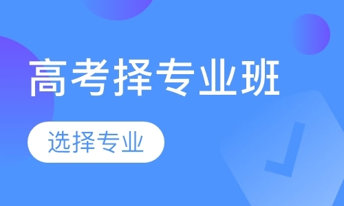 成都高考择专业班