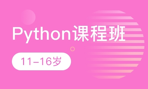 Python课程班
