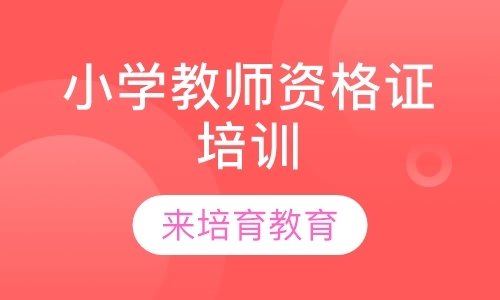 东莞小学教师资格证培训班