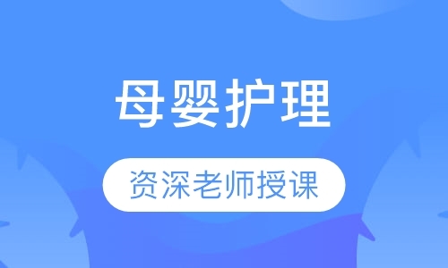 母婴护理(上海劳动局证书)