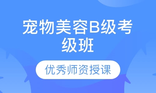 东莞宠物美容师技能培训