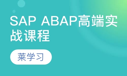 SAP ABAP高端实战课程