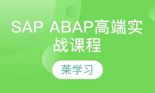 SAP ABAP高端实战课程