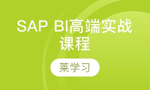 SAP BI高端实战课程