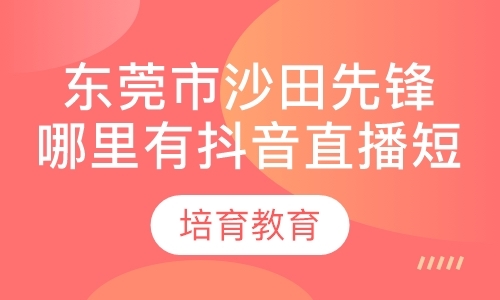 东莞市沙田先锋哪里有抖音直播短视频培训