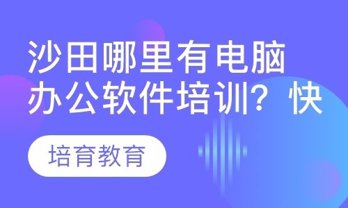 东莞沙田哪里有电脑办公软件培训？快速短期培训