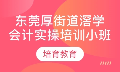 东莞会计做账实操班