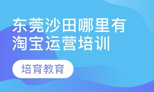 东莞淘宝系统培训