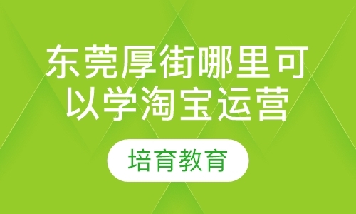 东莞淘宝技术培训学校