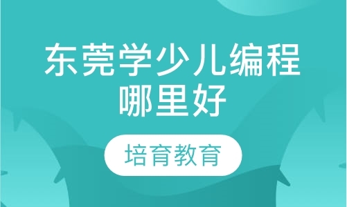 东莞学少儿编程哪里好