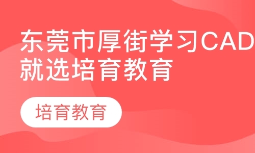 东莞素质拓展培训