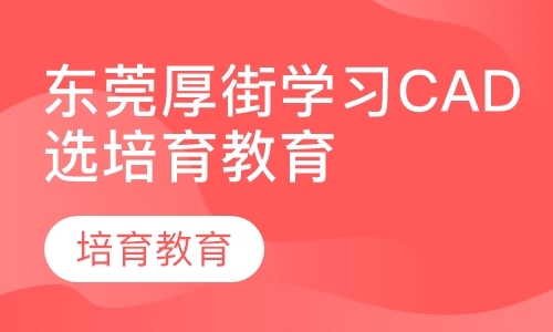 东莞公司团队拓展培训