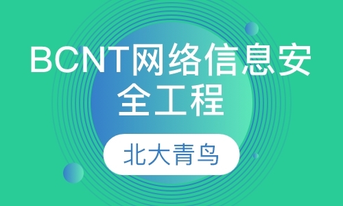 BCNT网络信息安全工程师