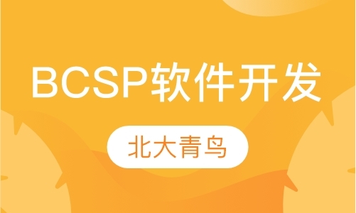 BCSP软件开发