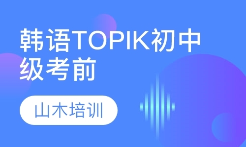 韩语TOPIK初中级考前辅导