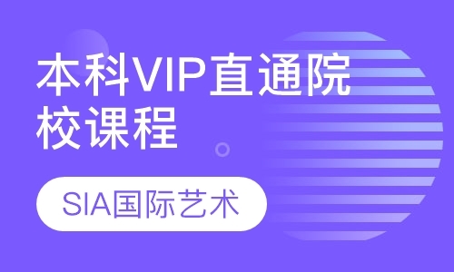 北京本科VIP直通院校课程
