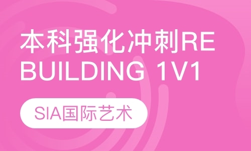 北京本科强化冲刺Rebuilding1V1