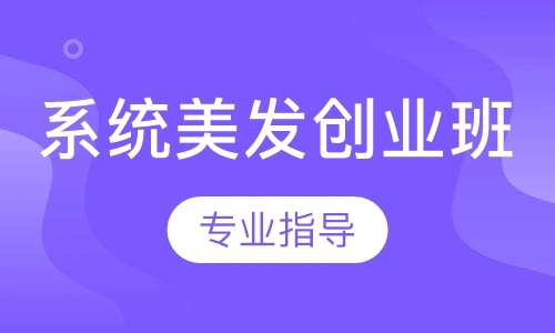 系统美发创业班