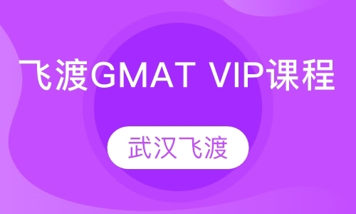 飞渡GMAT VIP课程