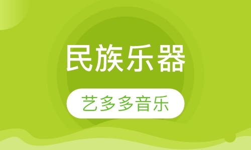 北京琵琶入门学习