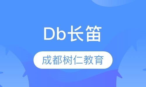 Db长笛