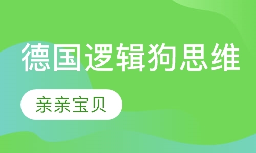 青岛德国逻辑狗思维训练课