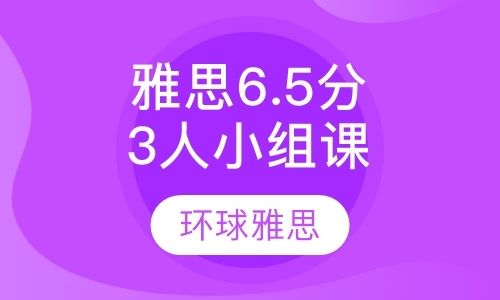 北京g类雅思培训