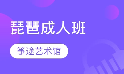 石家庄从零学琵琶