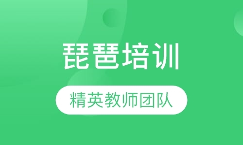 武汉琵琶的学习