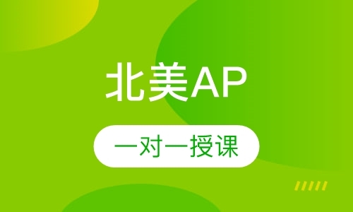 北京北美AP1对1精品课程
