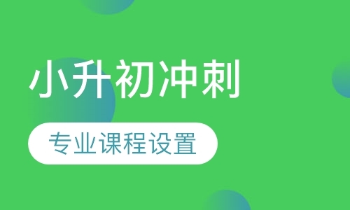 上海小升初一对一