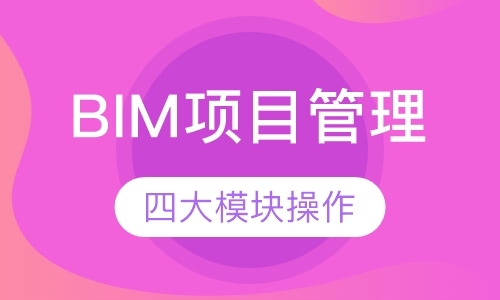 BIM项目管理 （取证+实操班）