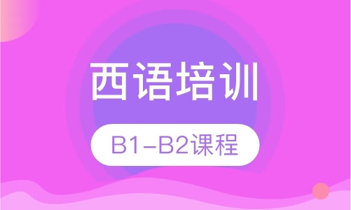 西语B1-B2课程