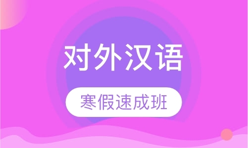 南京教外国人学习中文的培训机构，寒假班