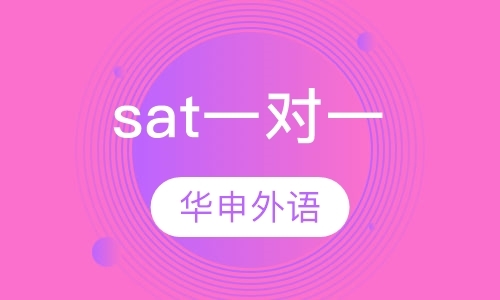 上海sat假期培训