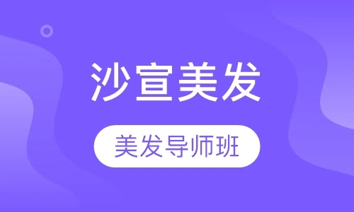 沙宣美发导师班