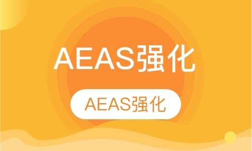 AEAS强化课程一对一