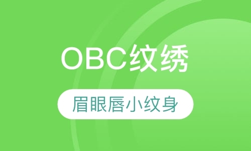 深圳OBC纹绣e导师