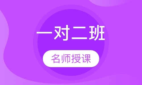 北京TOEFL/SAT/啄木鸟语言一对多班