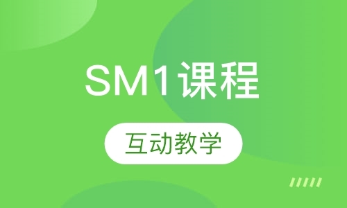 SM1课程国际高中