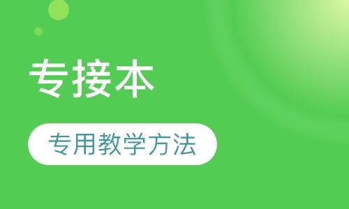 专接本极品小班