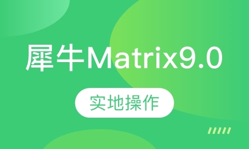 广州犀牛Matrix9.0珠宝3D课程