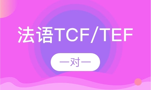 法语TCF/TEF一对一