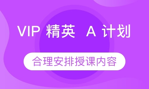 VIP 精英  A 计划【高效】