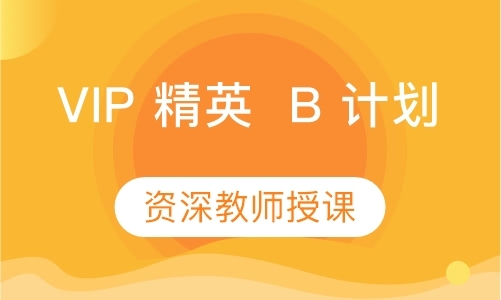 VIP 精英  B 计划【定制提高】