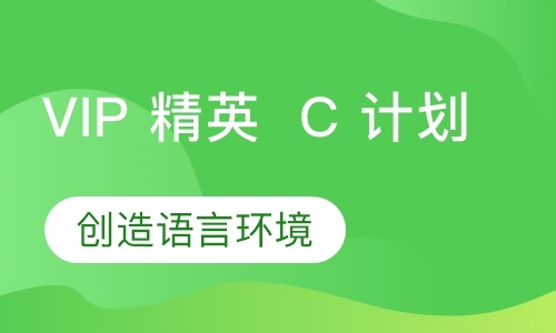 VIP 精英  C 计划【长线陪伴】